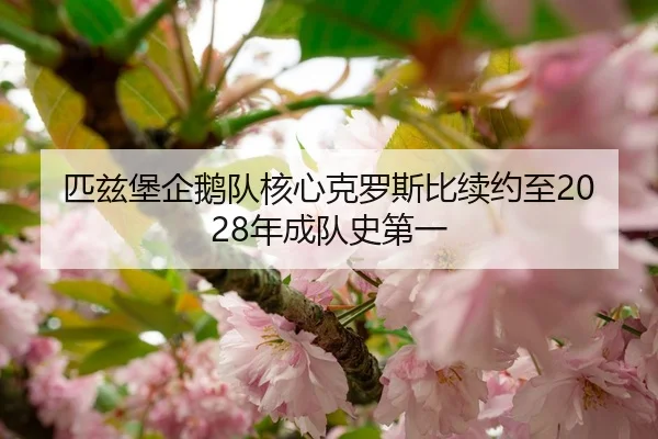 匹兹堡企鹅队核心克罗斯比续约至2028年成队史第一